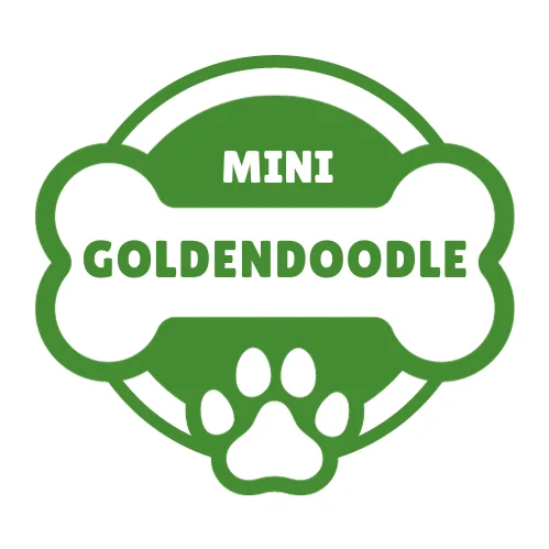 This image is related to mini goldendoodle logo.