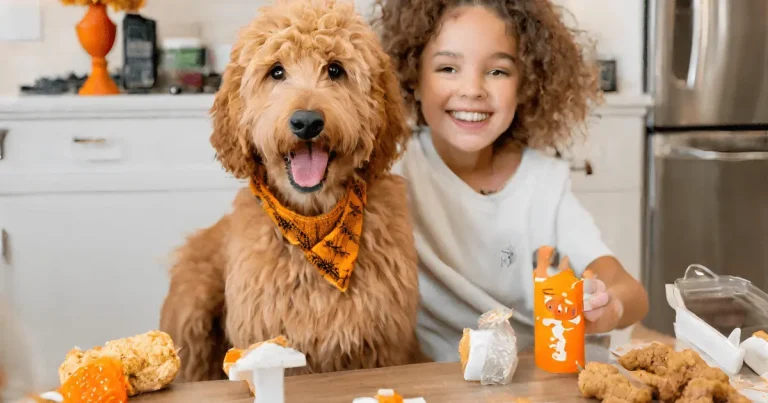 Young Entrepreneur Avery Koons Brightens Fall with Mini Goldendoodle and Homemade Treats